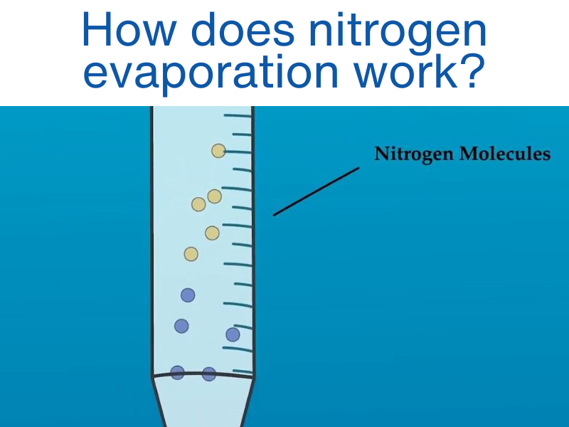 How does nitrogen evaporation work
